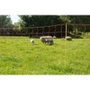 Gallagher Sheep Netting Single Pin Posts- 50m x 90cm -