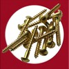 M3.5 x 25mm Brass Wood Screws Round Raised Head Slotted