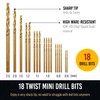 Micro Drill Bits Set with Pin Vise | Small Hand