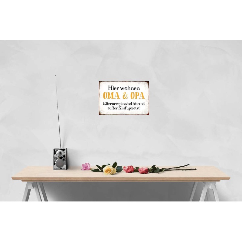 generisch Tin Sign 20 x 30 cm Curved with Cord