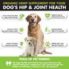 WIZARDPET Hemp Hip & Joint Supplement for Dogs Mobility Glucosamine