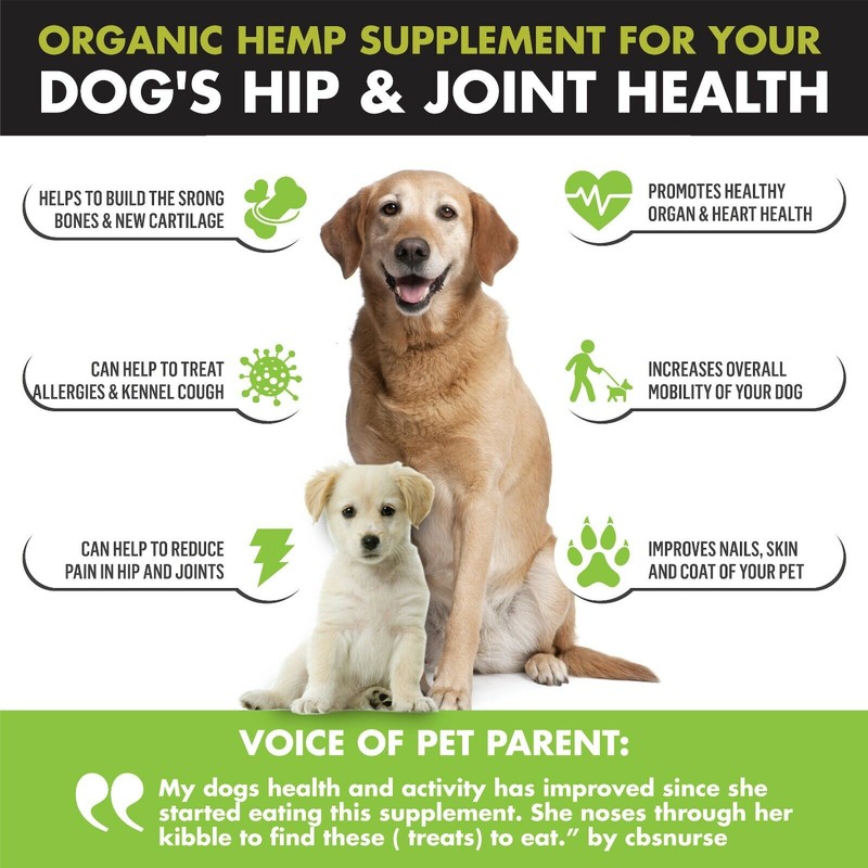 WIZARDPET Hemp Hip & Joint Supplement for Dogs Mobility Glucosamine