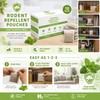 Peppermint Rodent Repellent Pouches for Home – 10 Pack Mouse