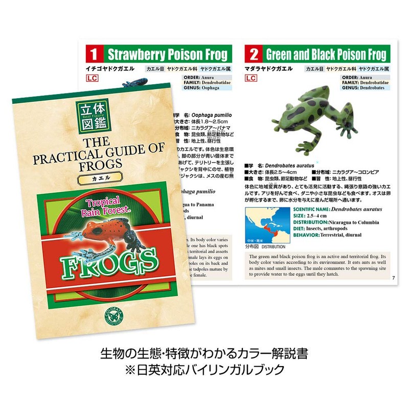 カロラータ 立体図鑑 リアルフィギュアボックス (フロッグ / 16種) カエル 虫 昆虫 (解説書付き)