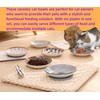 Whisker Fatigue Cat Bowl — Cat Bowls Whisker Friendly 6PCS