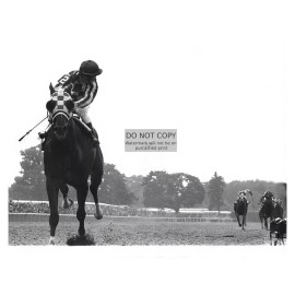 SECRETARIAT RACEHORSE RON TURCOTTE WINNING 1973 BELMONT 8X10 FRAMED PHOTO