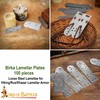 Lord of Battles 100pcs Steel Lamellar Armor Plates | 20