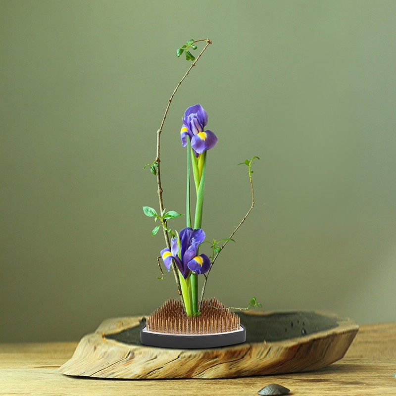 Arc shaped Flower Kenzan Holder Flower Arrangement Needle Pin Arranging