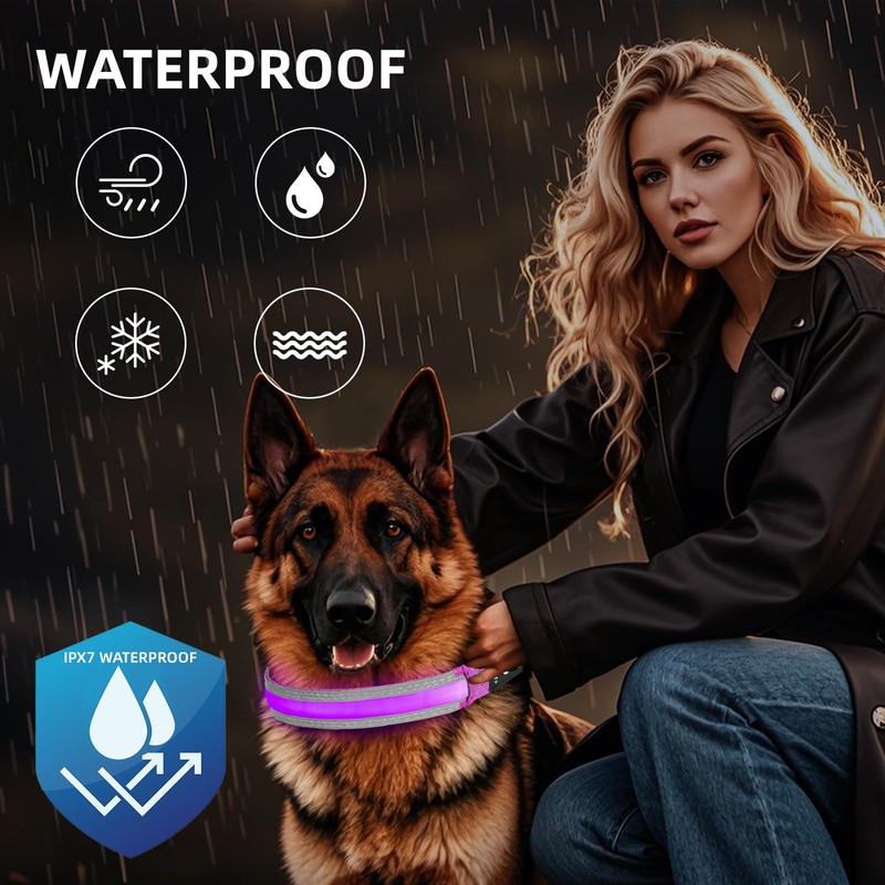 PetIsay Glow-in-The-Dark Dog Collar - Rechargeable IP68 Waterproof LED Collar