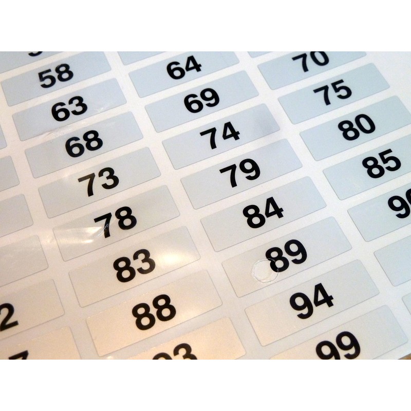 31x10mm, Black on Silver Labels, Consecutively Numbered 1 to 100,