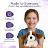 Warmies Plush St Bernard Microwavable Large, Heatable Weighted Plush Toy