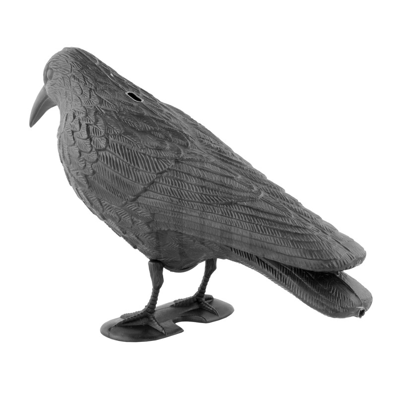 KCT Crow Decoy Full Bodied Realistic Hunting Prop and Bird
