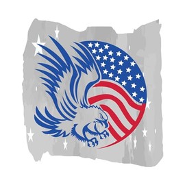 American Flag With Eagle Patriotic Wall Design Wall Art Sticker Designs Vinyl Stickers For Home House Walls Rooms Windows Bedroom Decoration Size (12x12 inch)