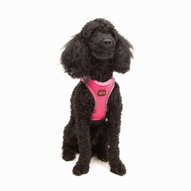 Tailpetz Xs Dog Harness Pink, Adjustable Step in No Pull Dog Harness Small Sized Dog, Reflective Puppy Harness for Puppy Training, Boy Girl Dog Vest Harness (Neon Pink, XS)