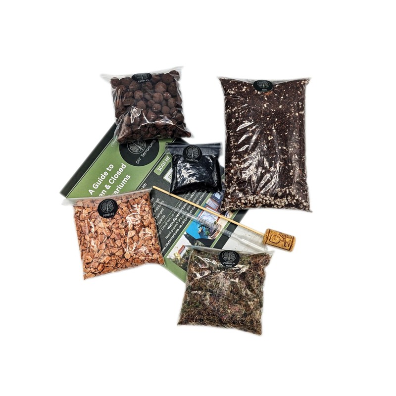 DIY Medium Open and Closed Terrarium Kit (Terracotta Pebbles)