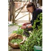 Health Embassy Hawthorn Flower (Crataegus L), 100 g