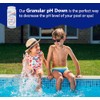 pH Down Pool & Spa Water Balancer (700 gm)