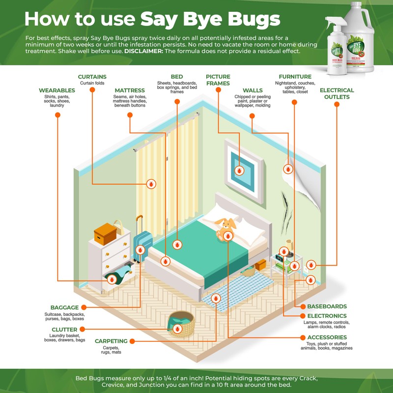 Bed Bug Spray for Getting Rid of Bed Bugs Permanently.