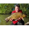 Tandem Baits Method Feeder Fluo Pop-Up 8 mm Cute Coconut