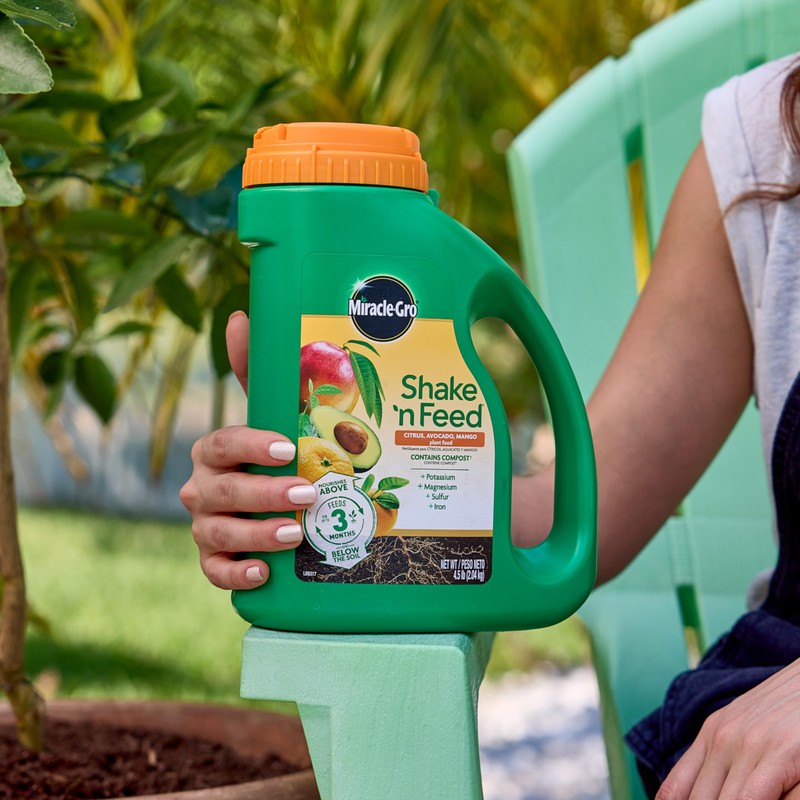Miracle-Gro Shake 'N Feed Continuous Release Citrus, Avocado & Mango