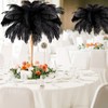 Retrowavy 30 Pcs 18-20 Inch Large Natural Ostrich Feathers Bulk