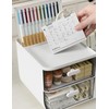 Witwatia Desk Organizer with 2 Drawer, Plastic Desk Organizers and