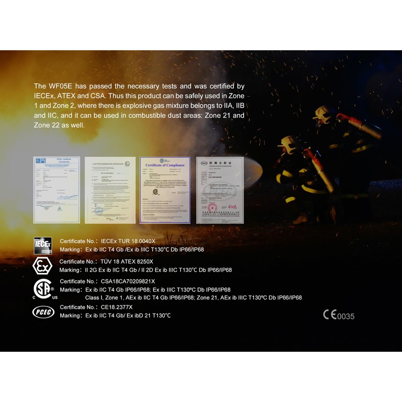 FENIX WF05E Intrinsically Safe Flashlight, Black, S