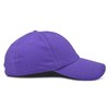 Dalix no estructurados Unisex Gorra de algodón ajustable Plain Sombrero,