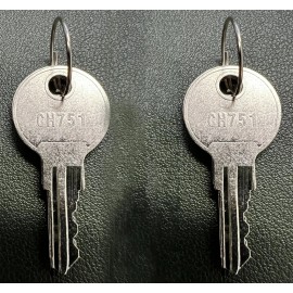 Southco RV Replacement BaggageTrailer / Camper Compartment Key Standard 2 Keys! CH-751