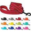 CollarDirect Nylon Dog Leash 5ft for Daily Outdoor Walking Running