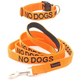 NO DOGS (Not good with other dogs) Orange Colour Coded S-M L-XL Dog Collar and 60cm 1.2m 1.8m Luxury Neoprene Padded Handle Lead Sets PREVENTS Accidents By Warning Others Of Your Dog In Advance (S-M & 1.2m)