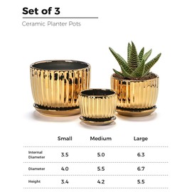 Ton Sin Gold Plant Pots,4.1+5.1+6.5 Inch Ceramic Succulent Planters Set of 3 Mini Indoor Flower Pot with Drainage,Handmade Decorative Ceramic Orchid and Herb Pots(Gold)