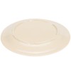 TrueCraftware- 9" Dinner Plate Tan Color Melamine Set of 12-