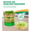 HK Stackable Seed Sprouting Kit, 4-Tier Microgreens Growing Kit with