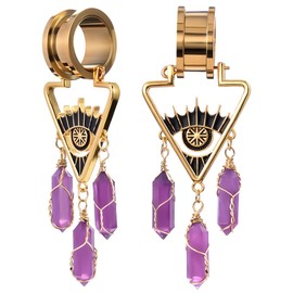 Kolach 1 Pair Stainless Steel Ear Gauges Piercing Buckle Dangle Ear Gauges Piercing Plugs and Tunnels Elegant Retro style Ear Stretchers Earrings Expander 6mm to 25mm.