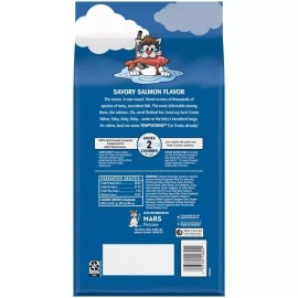 Unbranded Temptations Savory Salmon Flavor Chewy and Crunchy Cat Treats - 48oz