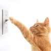 Light Switch Guard, ILIVABLE Optional Wall Plate Cover Switch ON