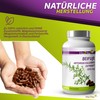 Vita2You Mugwort Extract, 180 Capsules, Artemisia Vulgaris, 10:1 Extract, 6000