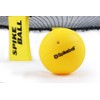 Spikeball Replacement Balls (2 Pack)