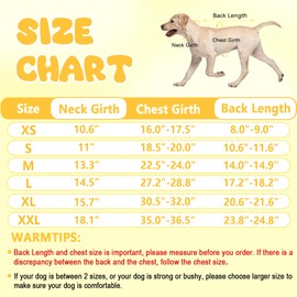 KAROKU - Traje de recuperación de cirugía para perro, traje quirúrgico abdominal para perros machos y hembras, neutralizador de postesterilización transpirable, cuello electrónico y alternativa de