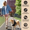 Murphy & Roxy Dog Harness - Durable, Comfortable, Breathable Mesh