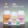 A&G PERSEA Cápsulas a base de té verde con jengibre,
