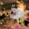 HunterBee 5 Pack Queen Bee Clip Queen Bee Marking Catcher