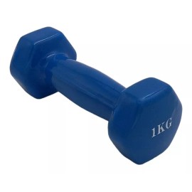 Patagonia Home  Mancuernas Hexagonales De Caucho 1 Kg Gym