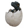 Jurassic Era Predator Velociraptor Hatchling Egg Dinosaur Figurine Collectible