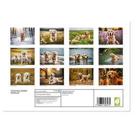 Charming Golden Retriever (Monthly Wall Calendar 2026 11.7" x 16.5" (open)), CALVENDO 14 Month Calendar
