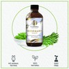 Florona Rosemary Essential Oil - 100% Pure & Natural -