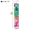Kokuyo PM-M120P-1P Memorization Pen, Checkle, Green, Pink
