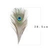 36 PCS Real Natural Peacock Eye Feathers 10-12 inch for