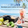 Molde para Hielo TAGNEFLOR